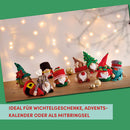 Buch "Winterliche Überraschungswichtel"