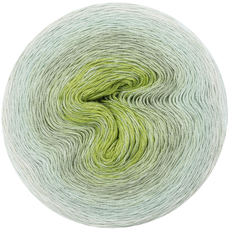 Cotton Dégradé Lucky 8 aloe vera