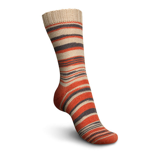 Regia 4f. Pairfect beige orange