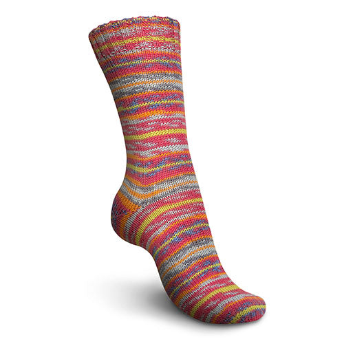 Regia 4f. Design rysstad color