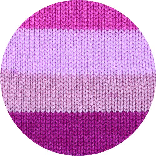 Bravo Color orchid