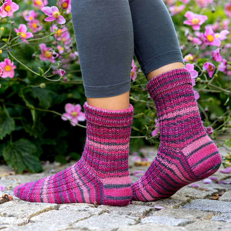Hot Socks 4f. "Lugano"