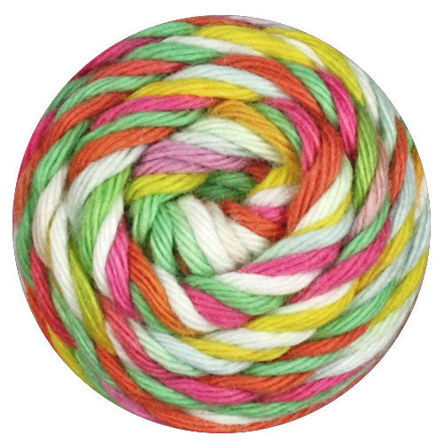 Record 210 Color daisy