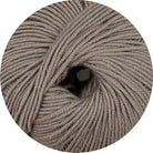 Merino Extrafine 120 taupe