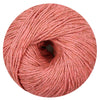 Diversa terracotta