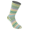 Cool Wool 4 Socks Color pastell