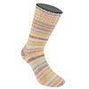 Cool Wool 4 Socks Color flora
