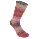 Meilenweit 100 Alpaca   11